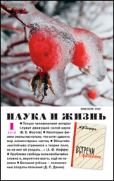 magazin1