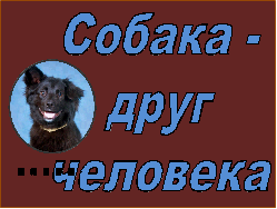 sobaka-drug