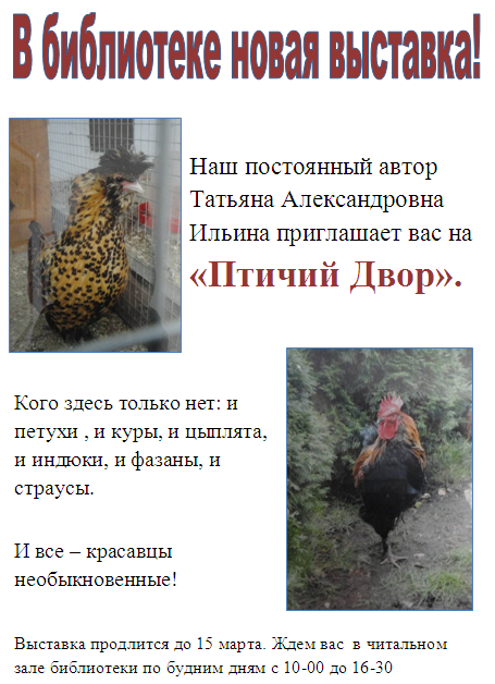 птичий-двор
