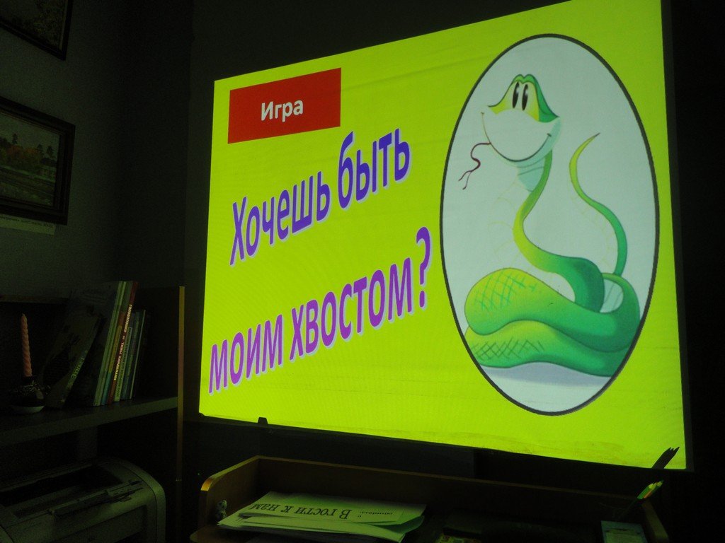 хочешь быть моим хвостом